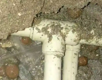 郴州市测漏水多少钱